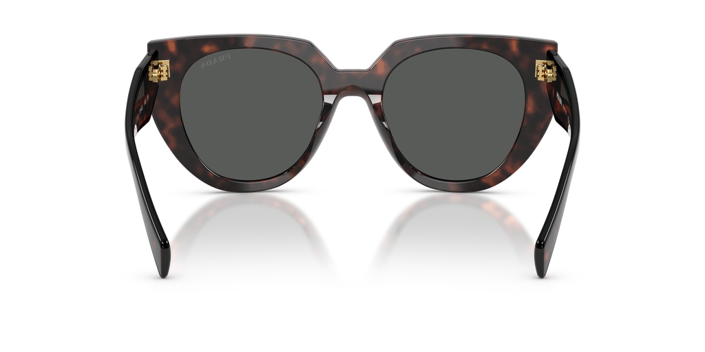 PR 14WS Sunglasses