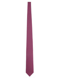 Ferragamo Men Silk Tie