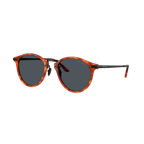 0Ar8250 Tortoiseshell Acetate Sunglasses