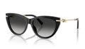 Women's Cat-Eye Sunglasses In Black