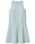 Lafayette 148 New York Petite Sleeveless Drop Waist Dress