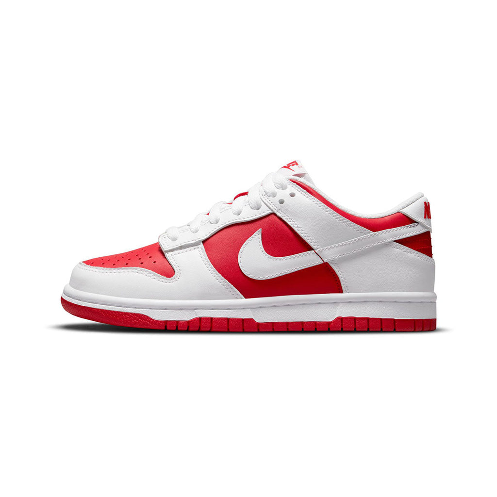 Nike Dunk Low Big Kids' Shoes