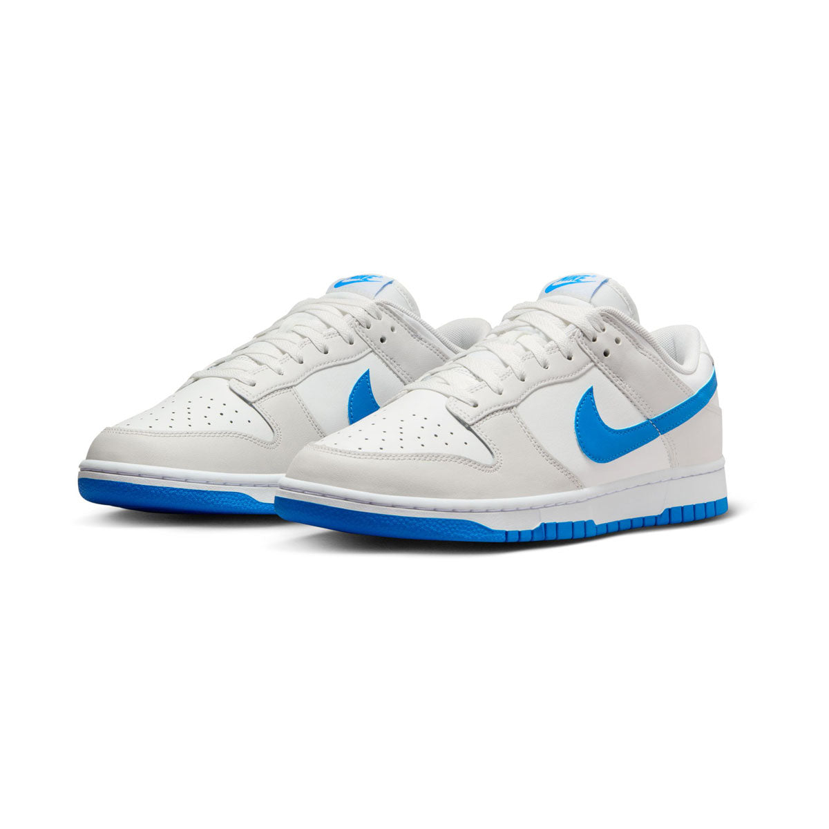 Nike Dunk Low Retro Men's Shoes