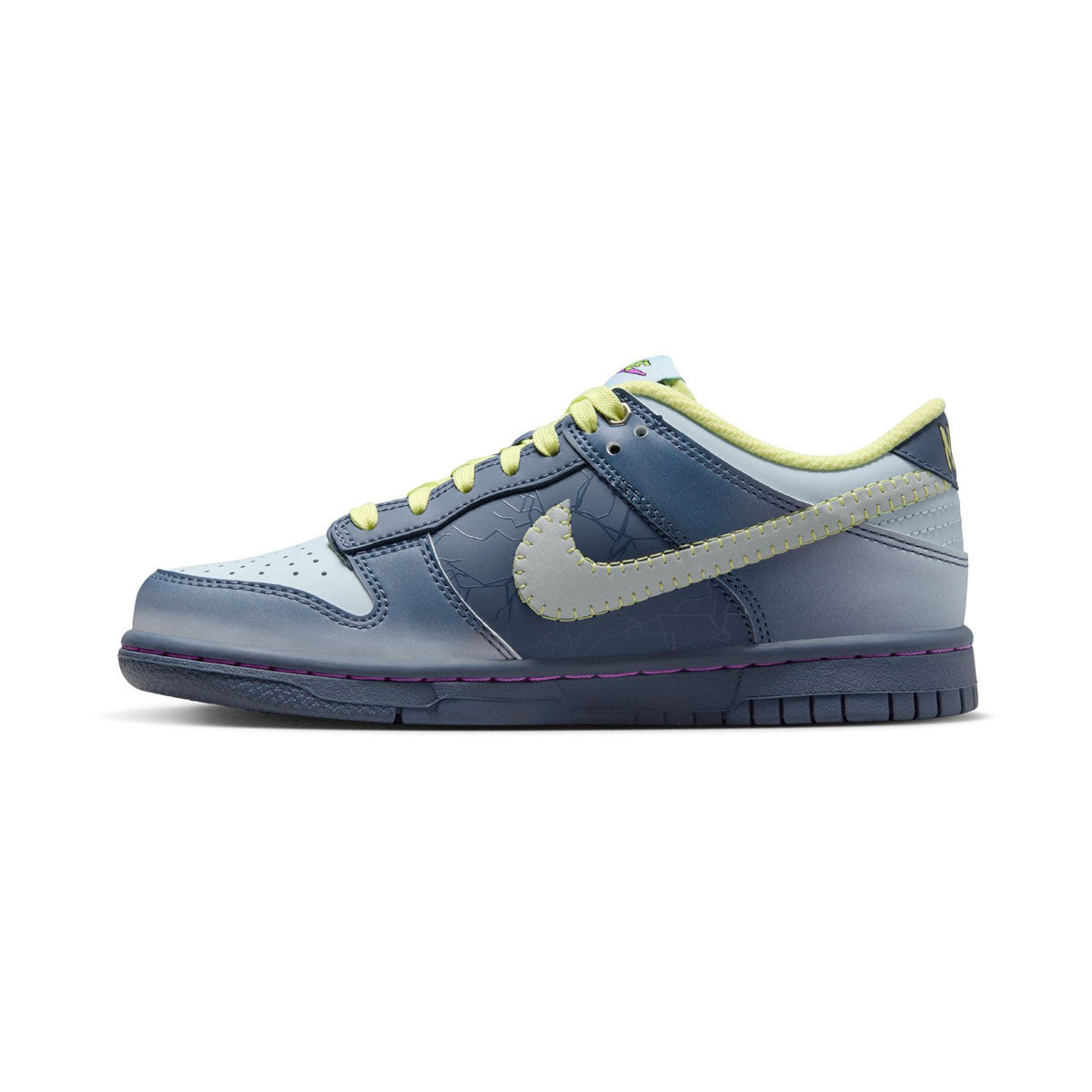 Nike Dunk Low Big Kids' Shoes