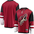 Arizona Coyotes Custom Jersey