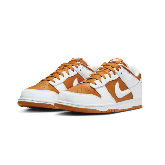 Nike Dunk Low Men's Shoes