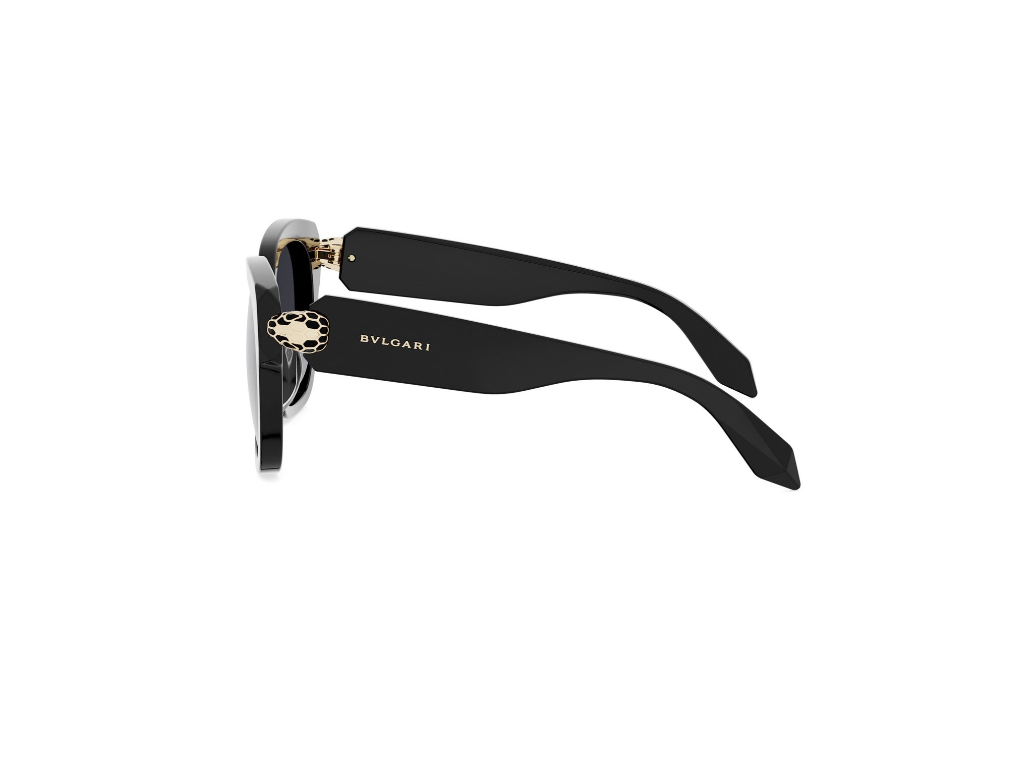 Square Acetate Sunglasses
