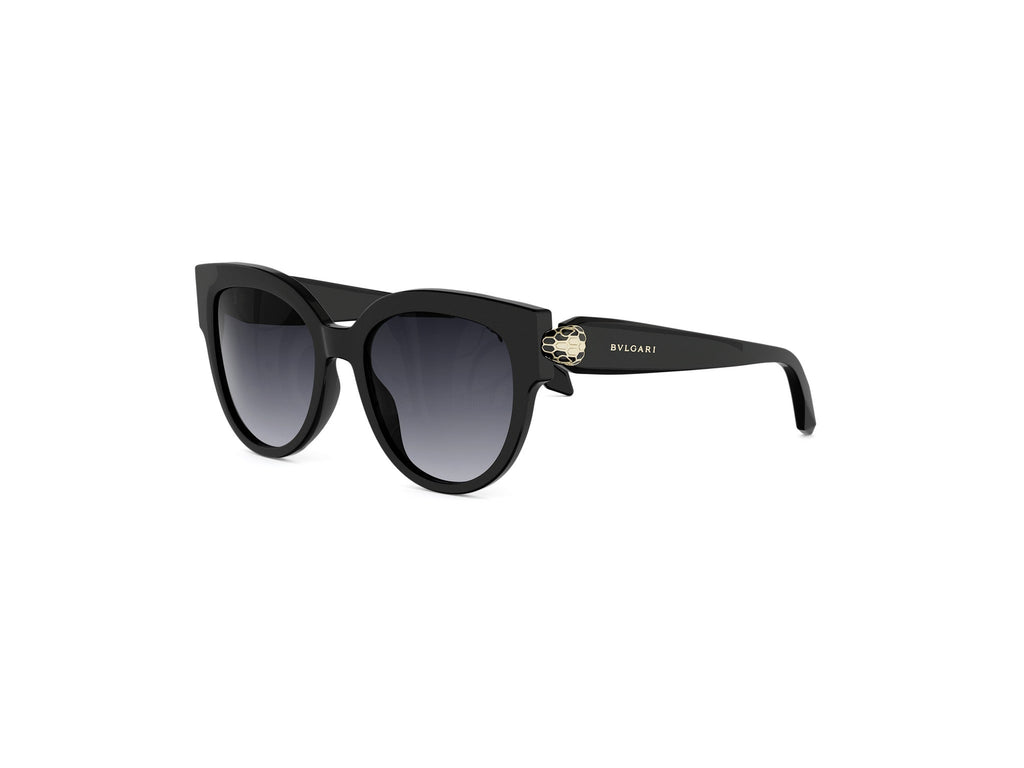 Black Pantos Acetate Sunglasses