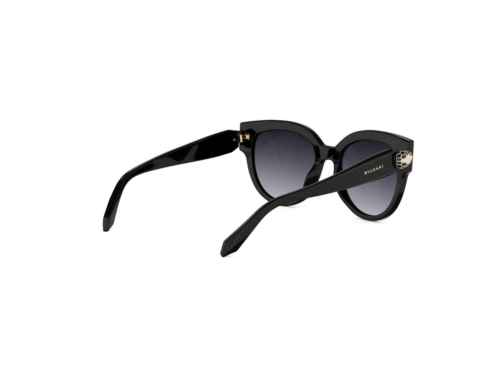 Black Pantos Acetate Sunglasses