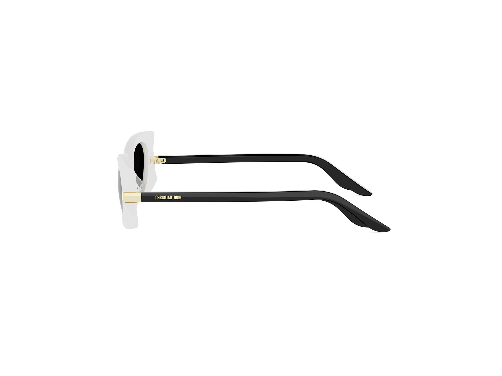 Butterfly Acetate Sunglasses