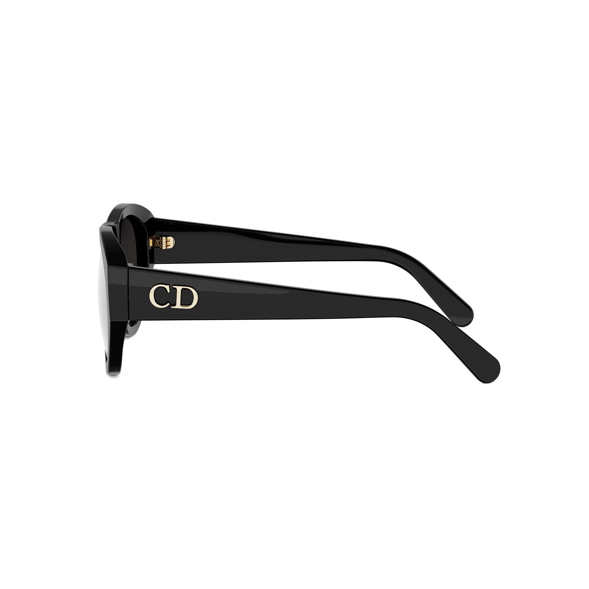Shiny Pilot Acetate Sunglasses