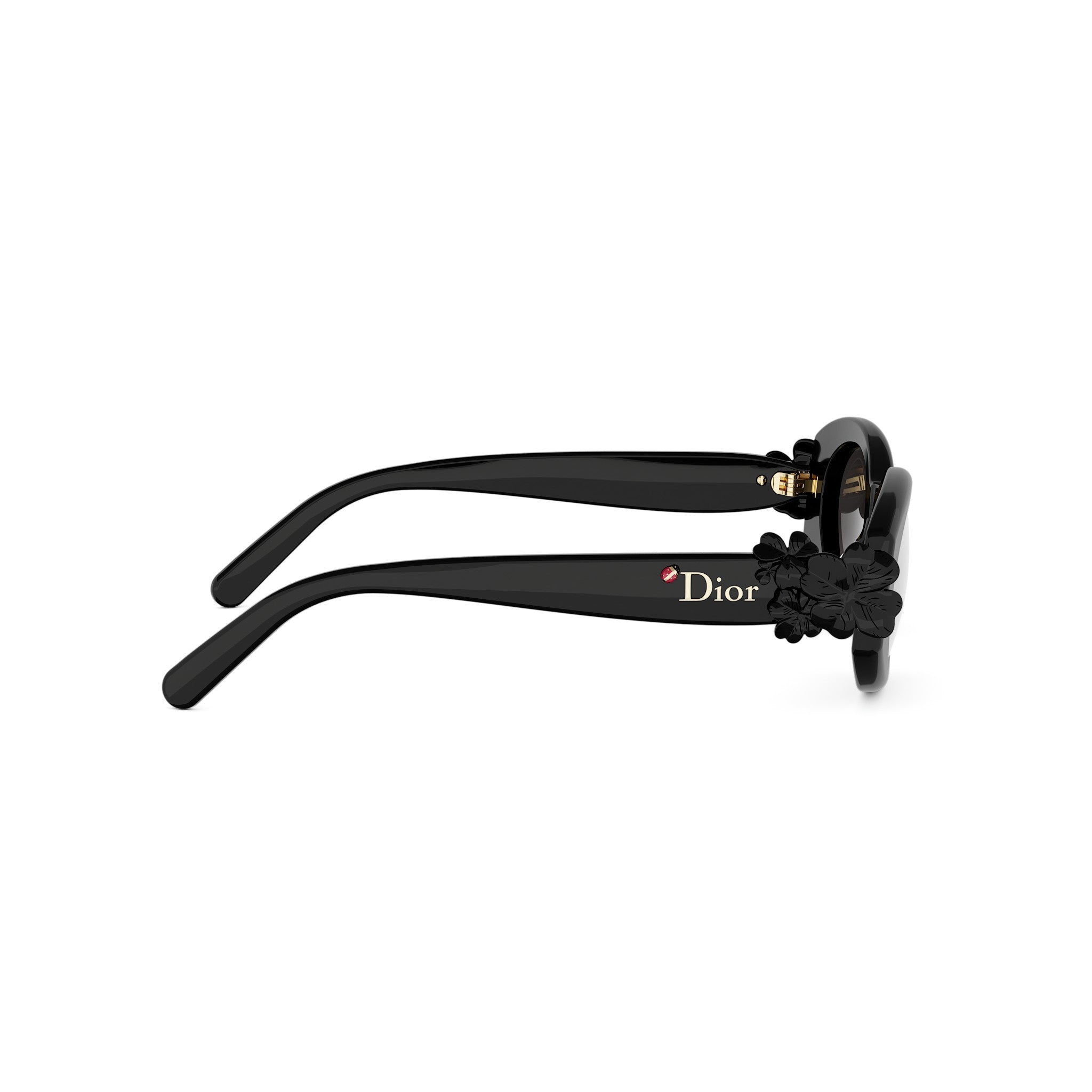 Shiny Oval Acetate Sunglasses