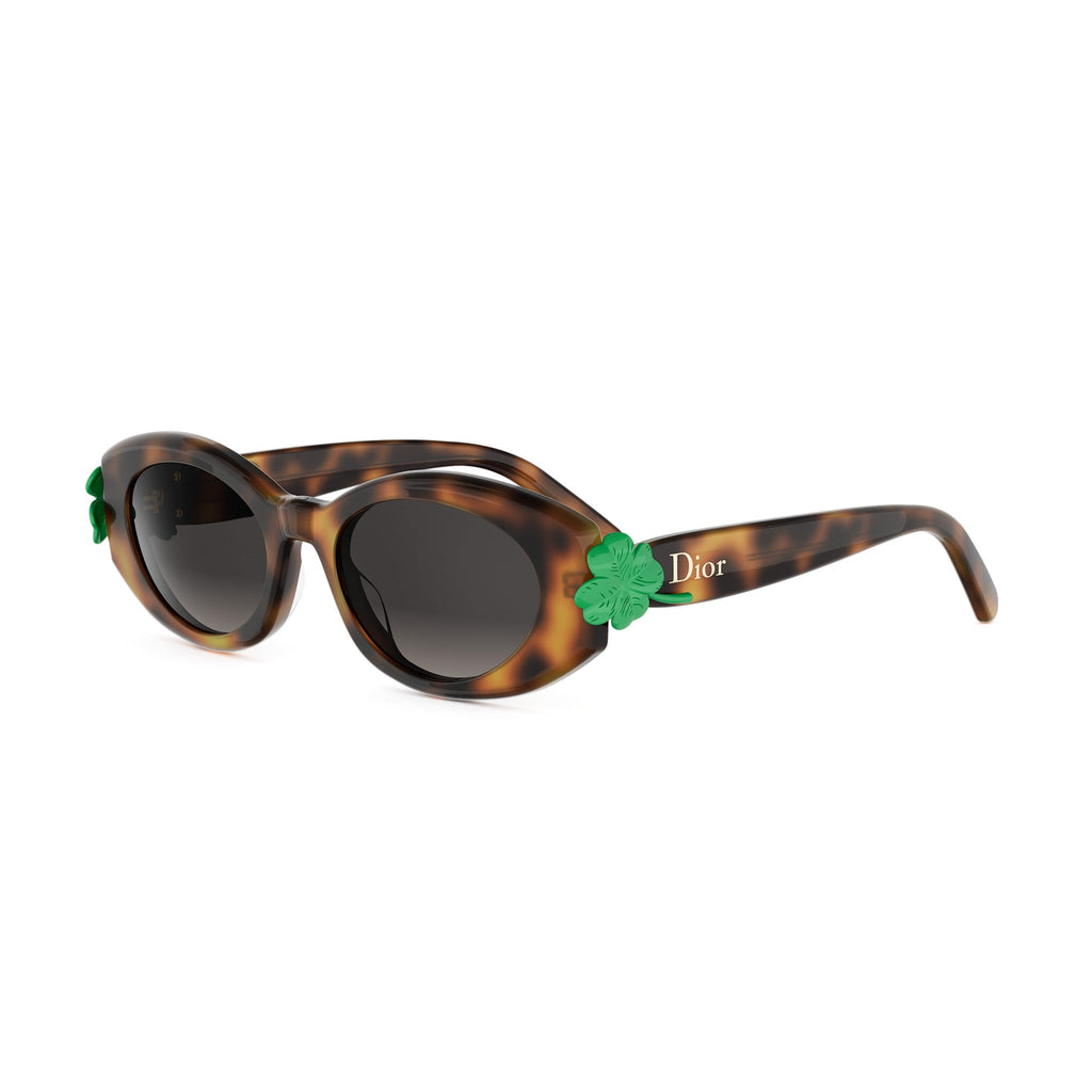 Shiny Oval Acetate Sunglasses