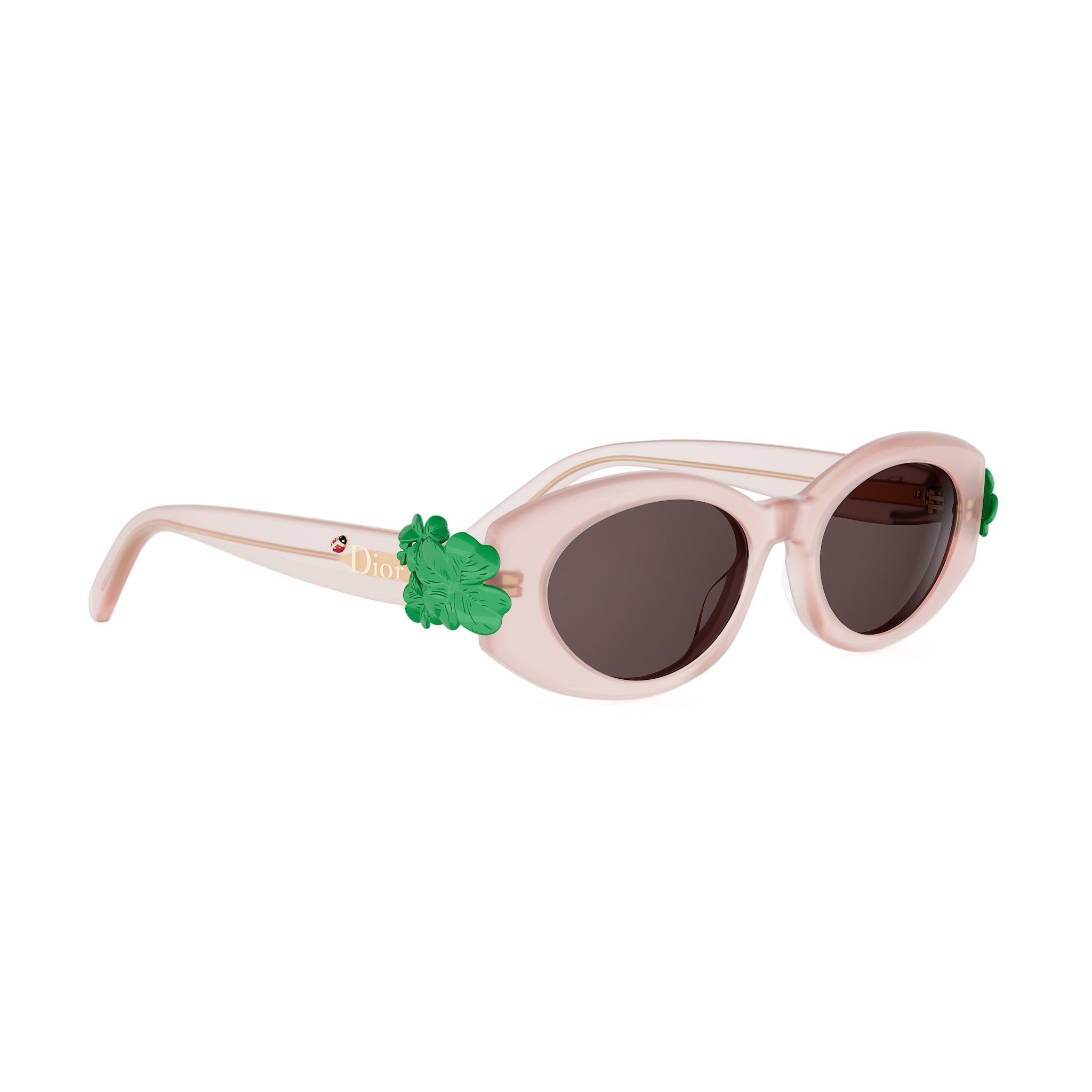 Shiny Oval Acetate Sunglasses