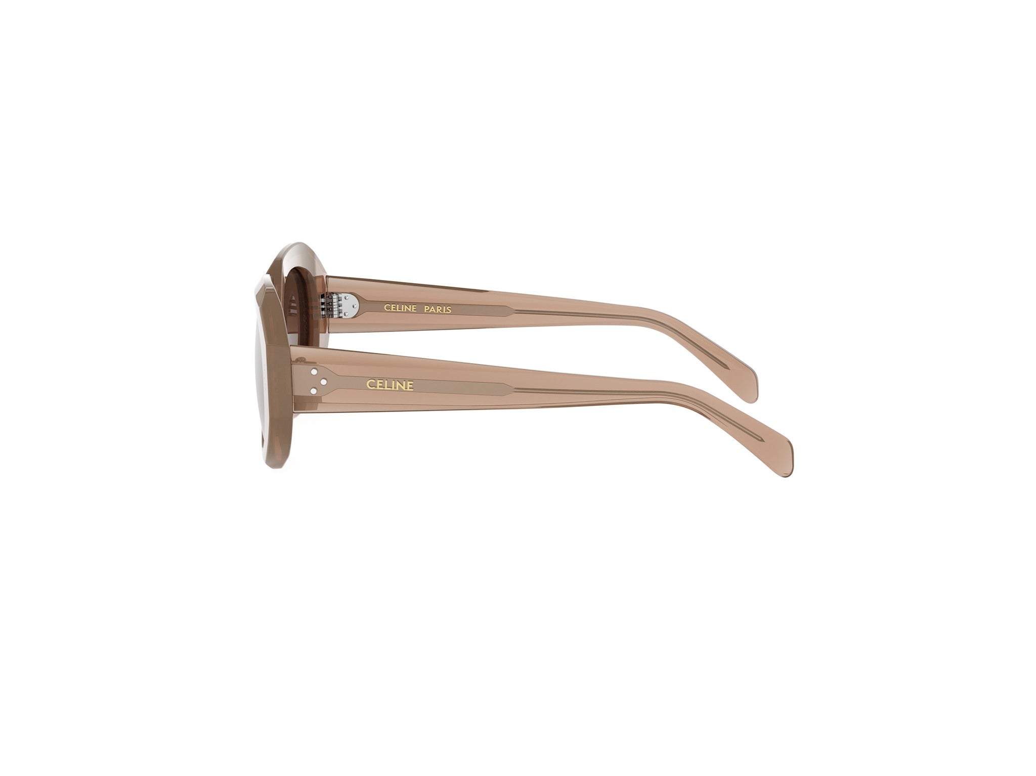 Brown Geometric Acetate Sunglasses