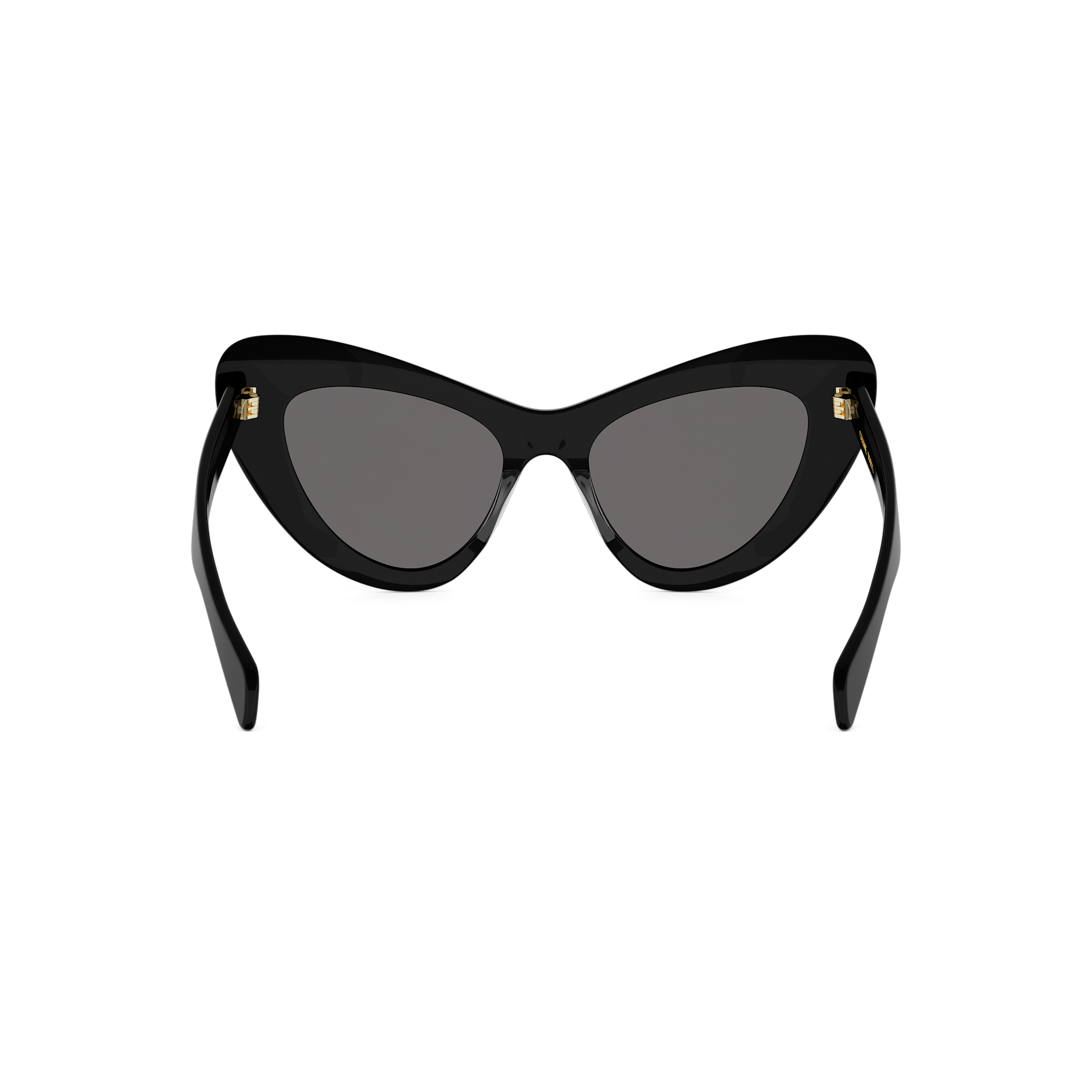 Cat Eye Acetate Sunglasses