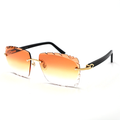 Cartier Custom C Décor Acetate Sunglasses