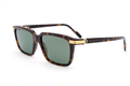 CT0220S Contemporary Acetate Sunglasses