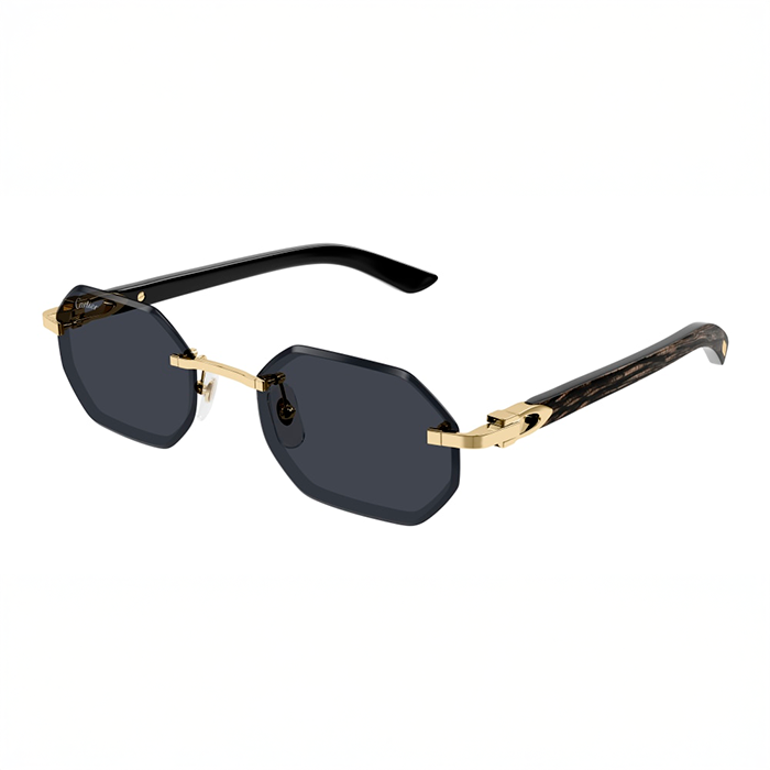 CT0439S Wood and Horn C Décor Sunglasses