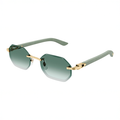 CT0439S Wood and Horn C Décor Sunglasses