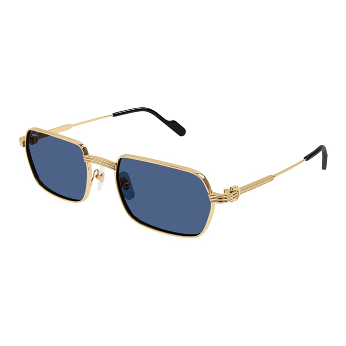 CT0463S Full Rim Première Sunglasses