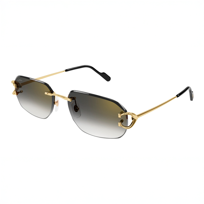 CT0468S Signature C Sunglasses