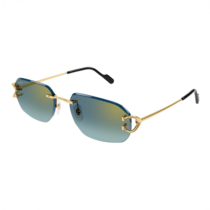 CT0468S Signature C Sunglasses