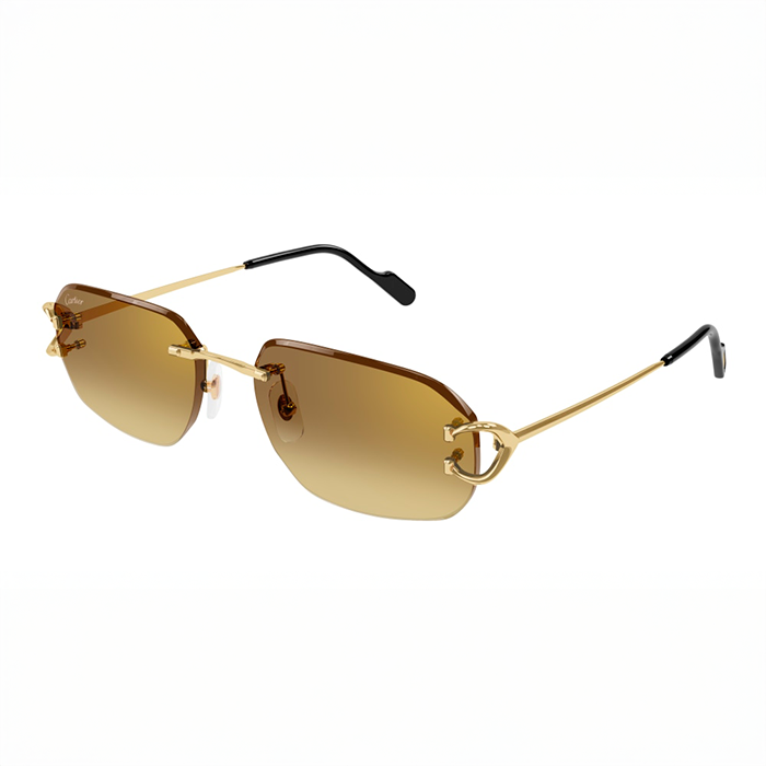 CT0468S Signature C Sunglasses