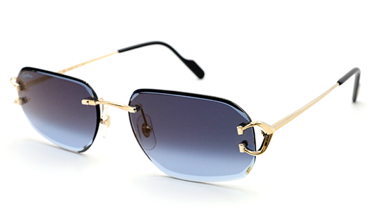 CT0468S Signature C Sunglasses