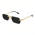 CT0499S Première Sunglasses