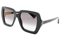 CT0507S Contemporary Acetate Sunglasses