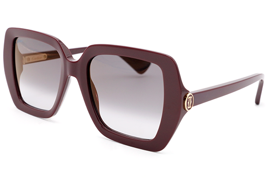 CT0507S Contemporary Acetate Sunglasses