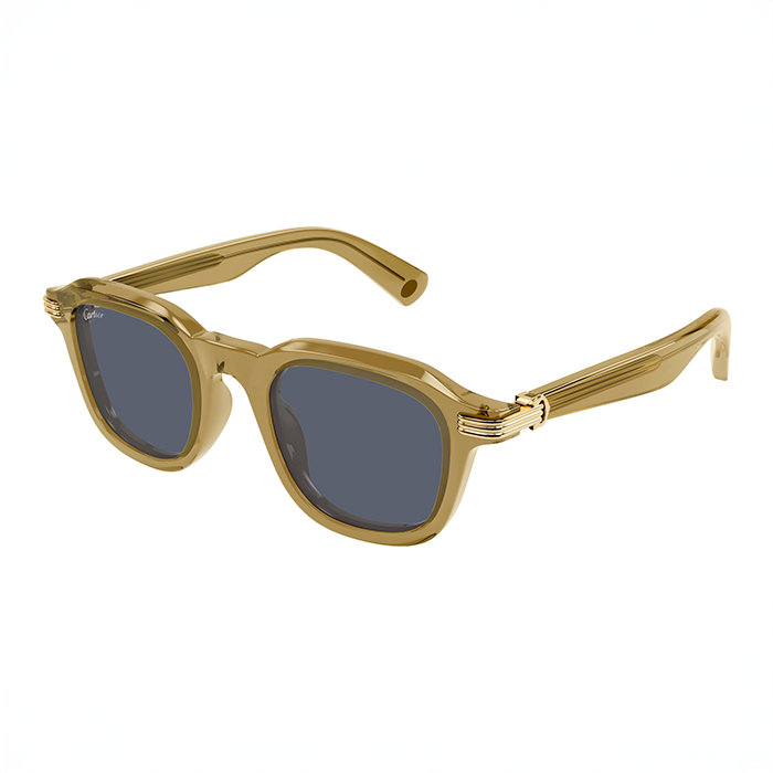 CT0536S Acetate Première Sunglasses