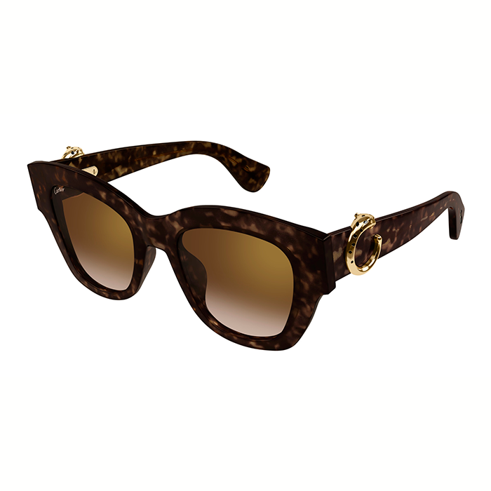 CT0547S Acetate Panthère C Sunglasses
