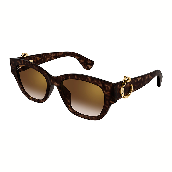 CT0548SA Acetate Panthère C Sunglasses