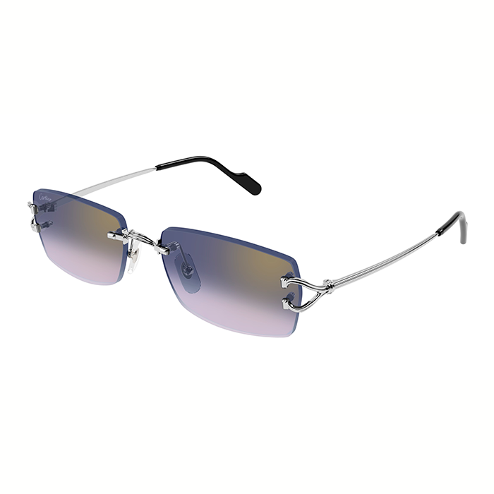 CT0550S Signature C Sunglasses
