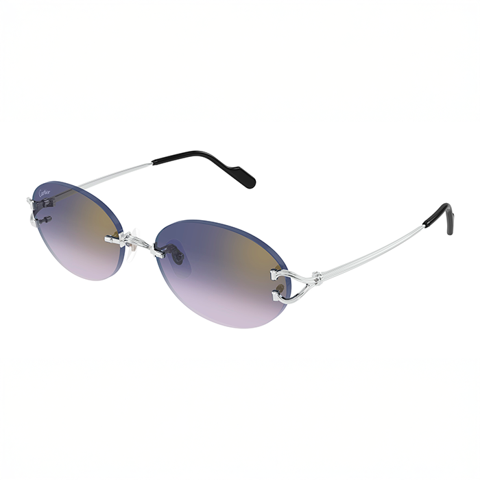 CT0551S Signature C  Round Sunglasses