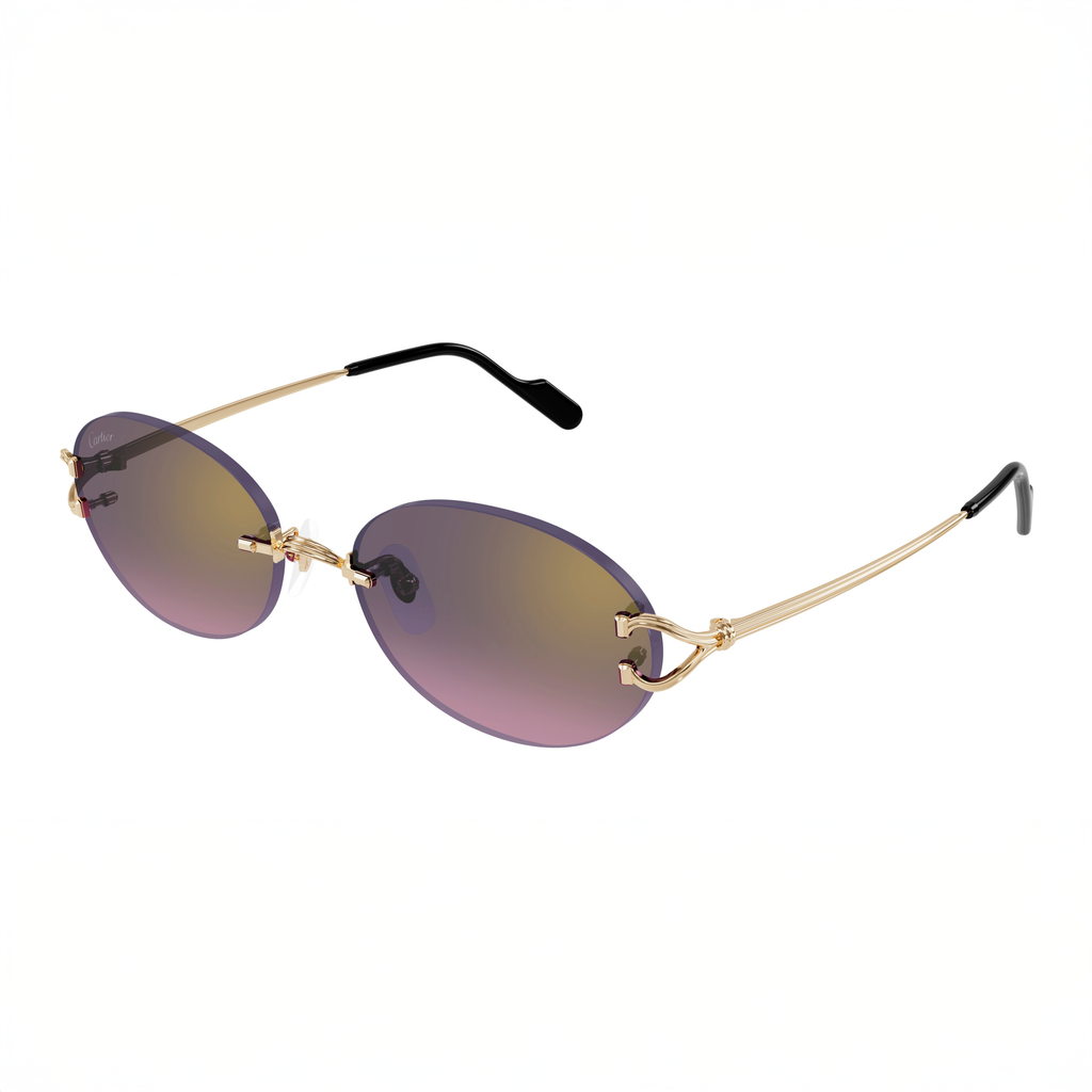 CT0551S Signature C  Round Sunglasses