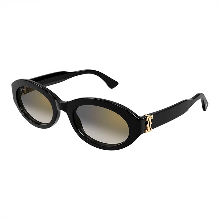 CT0588S Contemporary Sunglasses