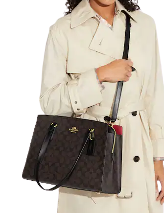 Coach Tatum Carryall In Signature Canvas