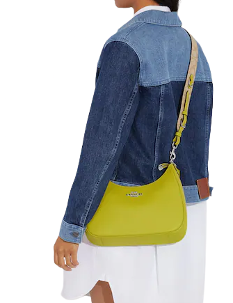 Coach Teri Hobo With Signature Canvas