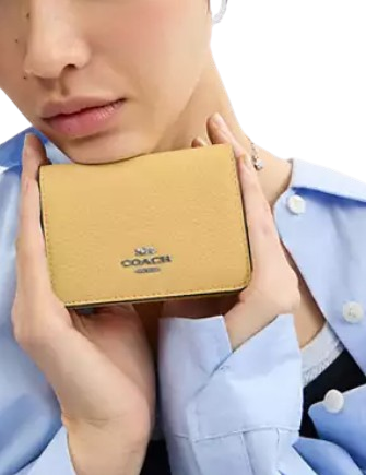 Coach Card Holder Wallet In Signature Canvas