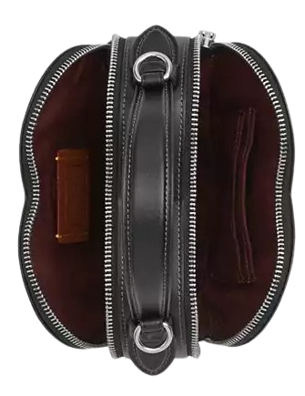 Coach Heart Crossbody Bag With Bow Print