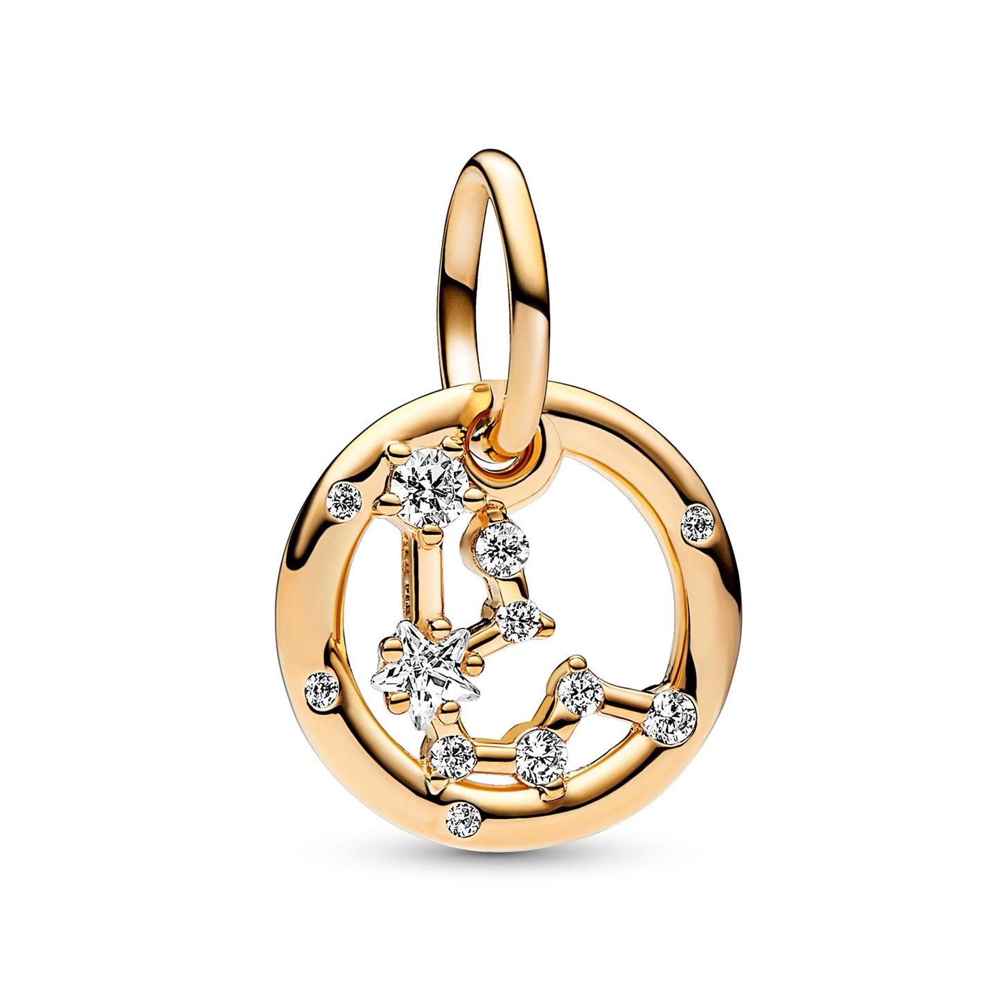 Aquarius Zodiac Dangle Charm