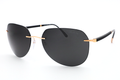 Sun C-2 8709 Sunglasses