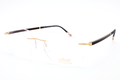 Hinge C-2 5565 LT Eyeglasses