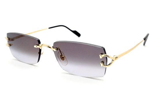 CT0550S Signature C Sunglasses