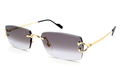 CT0550S Signature C Sunglasses