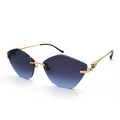CT0429S Geometric Panthère Sunglasses