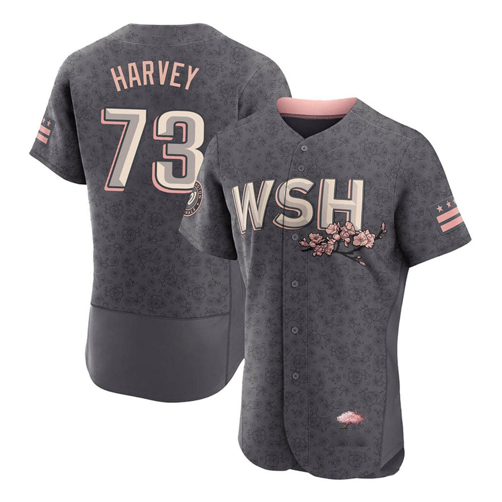 Hunter Harvey Washington Nationals 73 Jersey